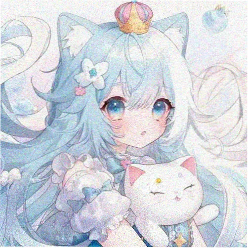 二次元萌新用户